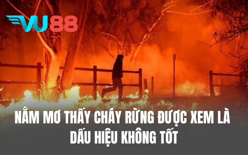Nằm mơ thấy cháy rừng được xem là dấu hiệu không tốt