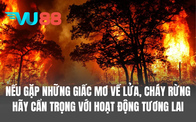 Nếu gặp những giấc mơ về lửa, cháy rừng hãy cẩn trọng với hoạt động tương lai