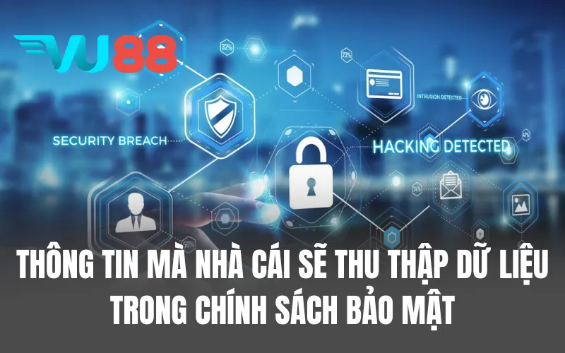 Thông tin mà nhà cái sẽ thu thập dữ liệu trong chính sách bảo mật