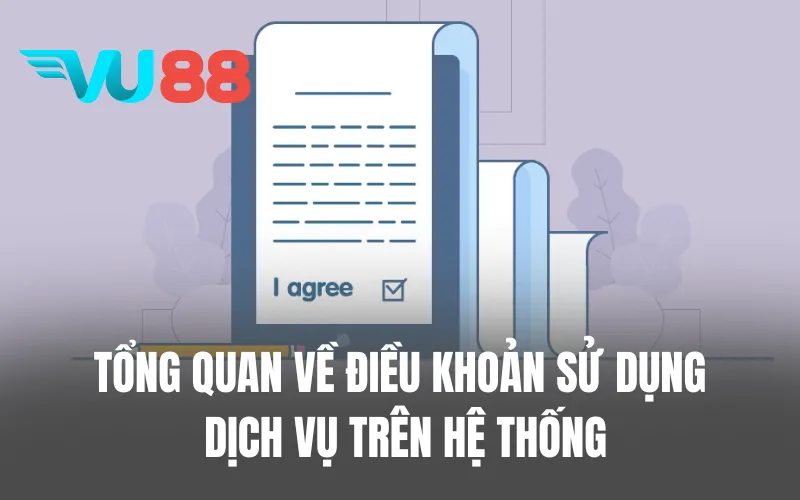 Tổng quan về điều khoản sử dụng dịch vụ trên hệ thống