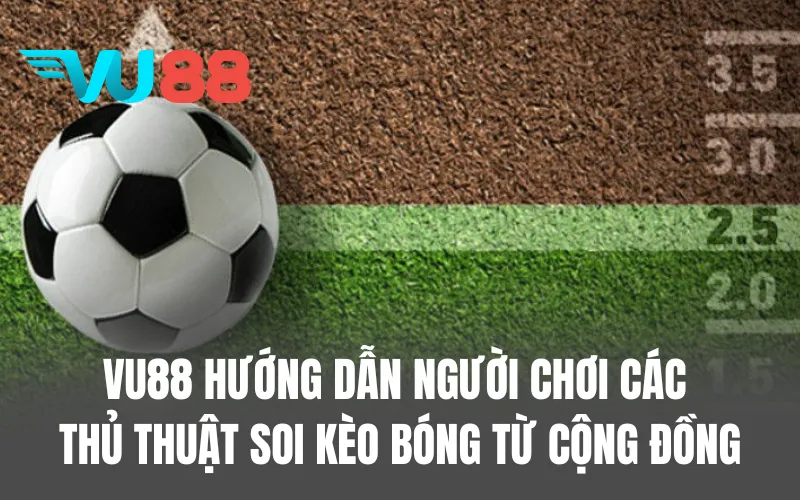 VU88 hướng dẫn người chơi các thủ thuật soi kèo bóng từ cộng đồng